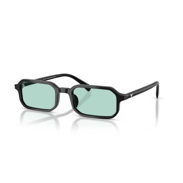 Emporio Armani EA 4253U 501765 54 Unisex Güneş Gözlüğü
