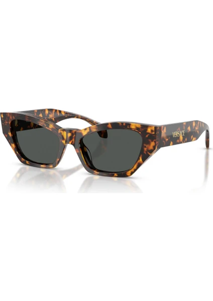 Versace VE 4488U 551487 53  Unisex Güneş Gözlüğü