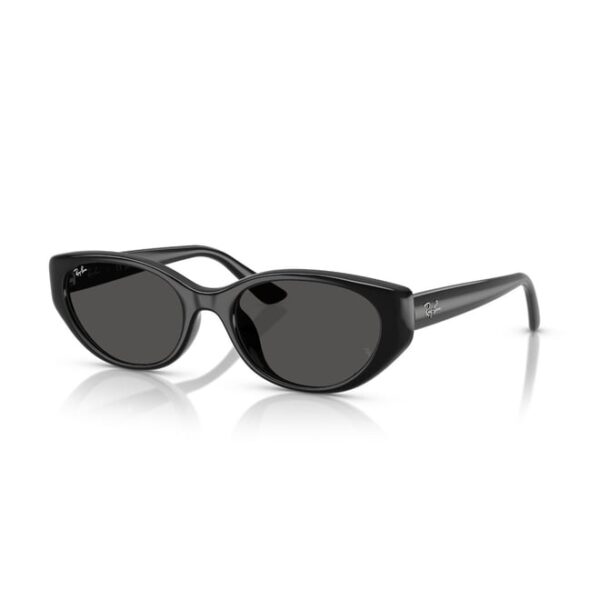 Ray-Ban  RB 4457D 667787 55  Unisex Güneş Gözlüğü
