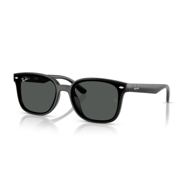 Ray-Ban  RB 4461D 601/87 64  Unisex Güneş Gözlüğü