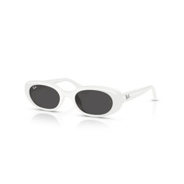 Ray-Ban  RB 4441D 677287 53  Unisex Güneş Gözlüğü