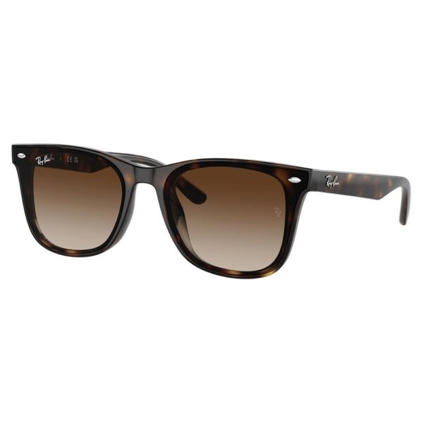 Ray-Ban  RB 4420 710/13 65 Unisex Güneş Gözlüğü