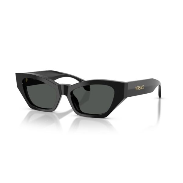 Versace VE 4488U GB1/87 53 Unisex Güneş Gözlüğü