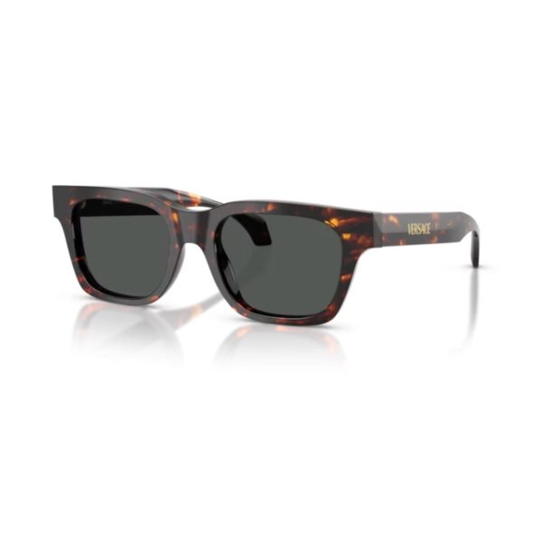 Versace VE 4486 550987 52 Unisex Güneş Gözlüğü