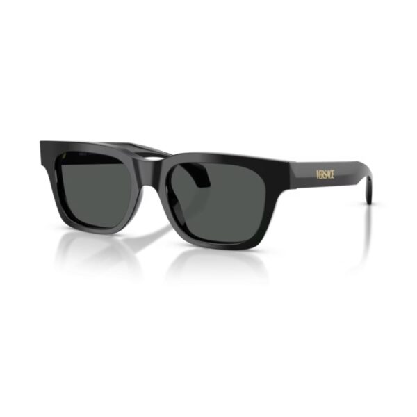 Versace VE 4486 GB1/87 52 Unisex Güneş Gözlüğü