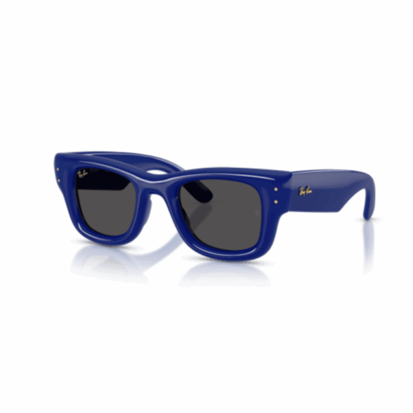 Ray-Ban RB 4940 683387 47 Unisex Güneş Gözlüğü