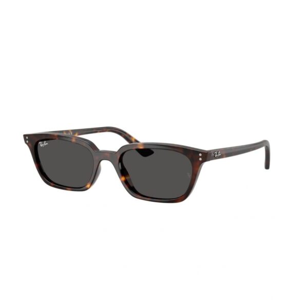 Pavurya Optik
